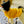 Load image into Gallery viewer, My Anxious Dog Yellow Space Awareness Jumper Small
