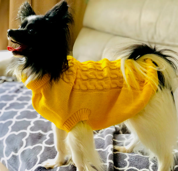 My Anxious Dog Yellow Space Awareness Jumper Small
