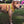 Load image into Gallery viewer, My Anxious Dog Adjustable Yellow Space Awareness Dog Harness &quot;ANXIOUS&quot;  Large
