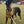 Load image into Gallery viewer, My Anxious Dog Adjustable Yellow Space Awareness Dog Harness &quot;ANXIOUS&quot;  Large
