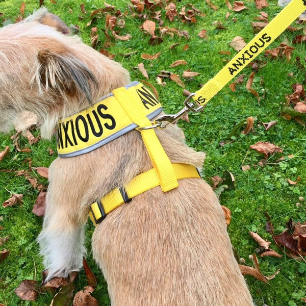 My Anxious Dog Adjustable Yellow Space Awareness Harness "ANXIOUS" - Medium