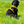 Load image into Gallery viewer, My Anxious Dog Adjustable Yellow Space Awareness Harness &quot;ANXIOUS&quot; - Medium
