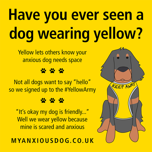 My Anxious Dog Yellow Space Awareness Campaign Pack