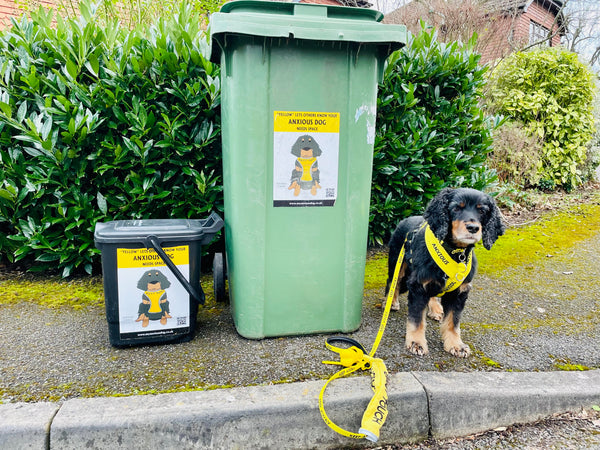 My Anxious Dog A4 Wheelie Bin Yellow Space Awareness Sticker