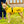 Load image into Gallery viewer, ANXIOUS DOG YELLOW LIGHTWEIGHT RAINCOAT (Medium)
