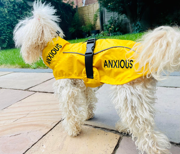 ANXIOUS DOG YELLOW LIGHTWEIGHT RAINCOAT (Small - Slim)