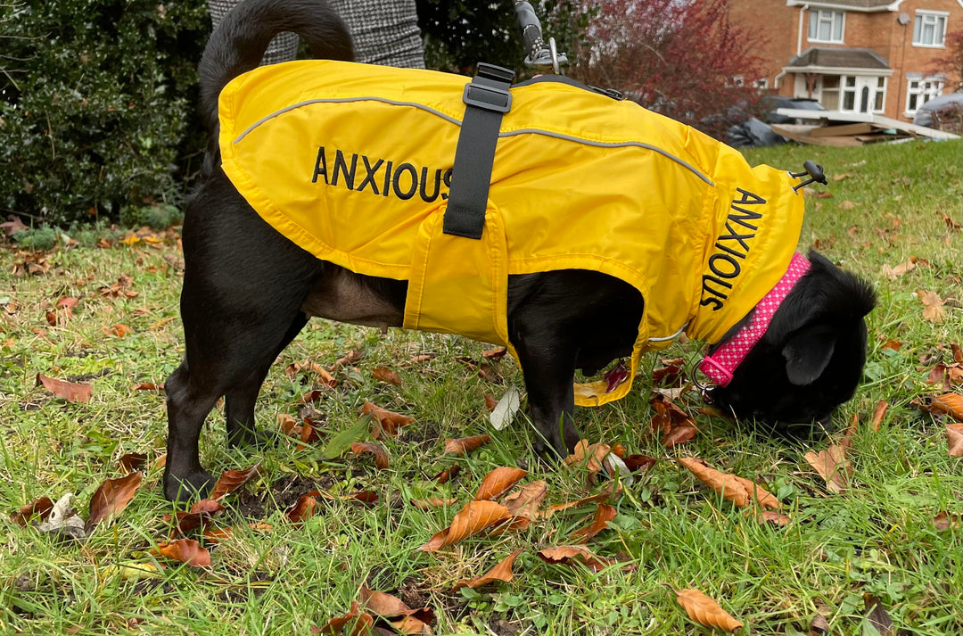 Yellow Dog Rain Coats Lightweight My Anxious Dog