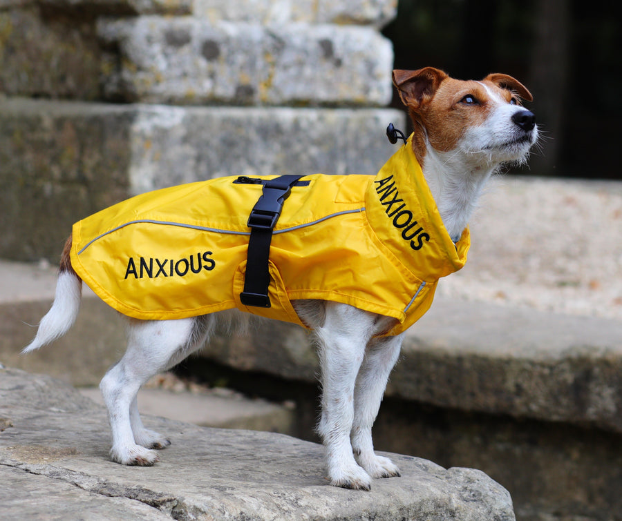 Yellow Dog Rain Coats Lightweight My Anxious Dog