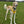 Load image into Gallery viewer, My Anxious Dog Adjustable Yellow Space Awareness Dog Harness &quot;ANXIOUS&quot;  Large
