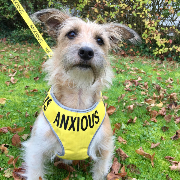 My Anxious Dog Adjustable Yellow Space Awareness Harness "ANXIOUS" - Medium