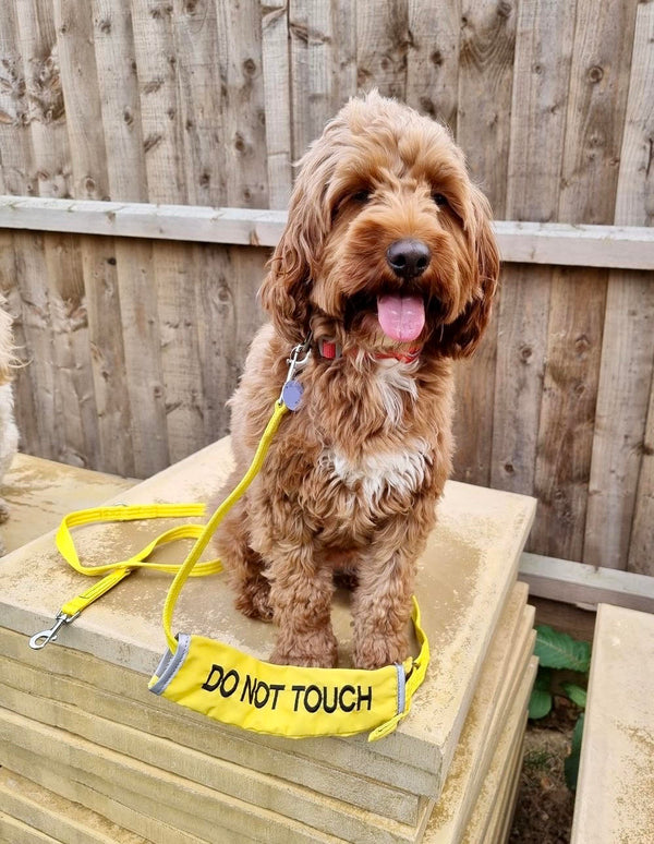 My Anxious Dog Yellow Space Awareness DO NOT TOUCH Warning Lead Slip Cover