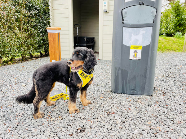 My Anxious Dog Yellow Space Awareness Poo Bin Stickers