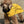 Load image into Gallery viewer, My Anxious Dog Yellow Raincoat 16&quot;
