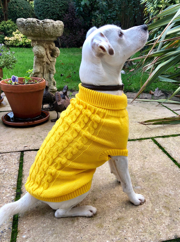 My Anxious Dog Yellow Space Awareness Jumper Small