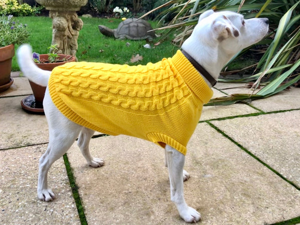 My Anxious Dog Yellow Space Awareness Jumper Small