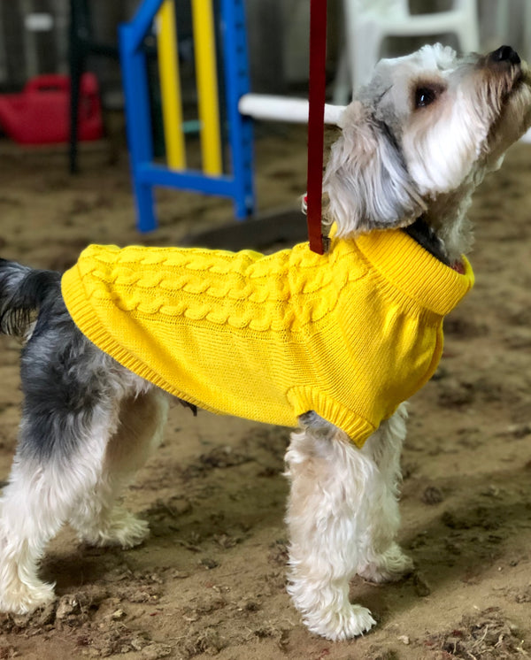 My Anxious Dog Yellow Space Awareness Jumper Small