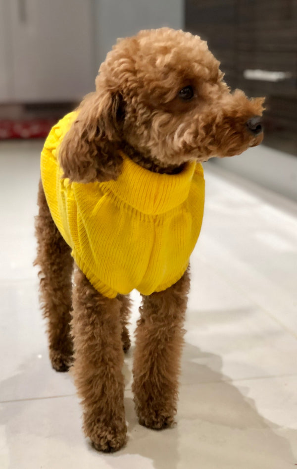 My Anxious Dog Yellow Space Awareness Jumper Small