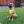 Load image into Gallery viewer, My Anxious Dog Adjustable Yellow Dog Harness &quot;ANXIOUS&quot; - XXL
