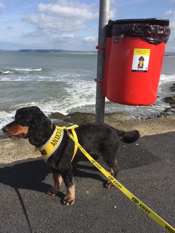 My Anxious Dog Yellow Space Awareness Poo Bin Stickers