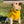 Load image into Gallery viewer, My Anxious Dog Yellow Space Awareness Jumper Small
