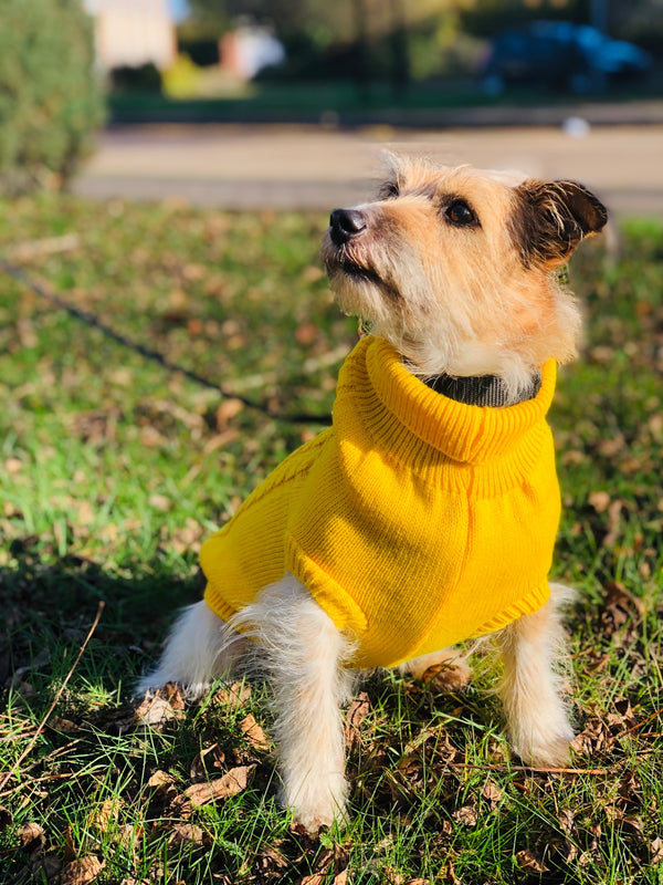 My Anxious Dog Yellow Space Awareness Jumper Small