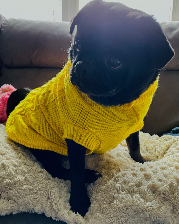 My Anxious Dog Yellow Space Awareness Jumper Small