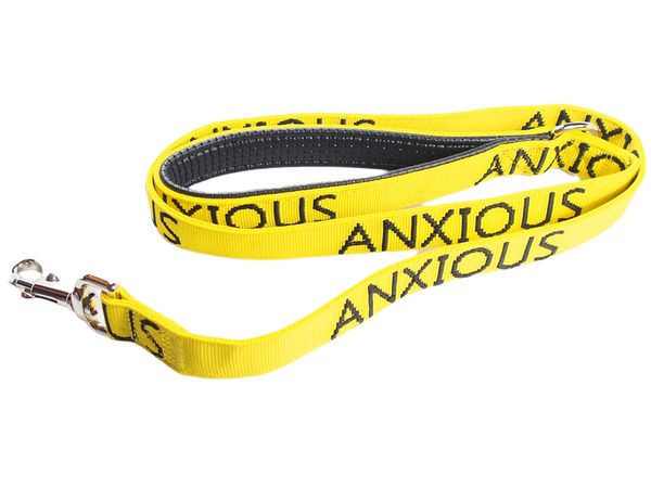 My Anxious Dog Yellow Space Awareness Lead "ANXIOUS" - Medium/Large