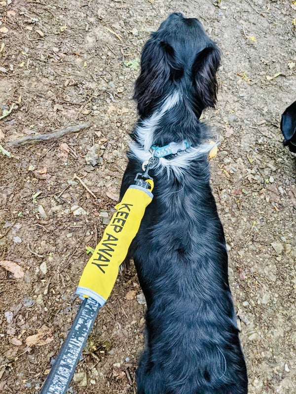 My Anxious Dog Keep Away Yellow Warning Lead Slip Cover