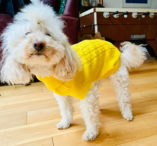 My Anxious Dog Yellow Space Awareness Jumper Small