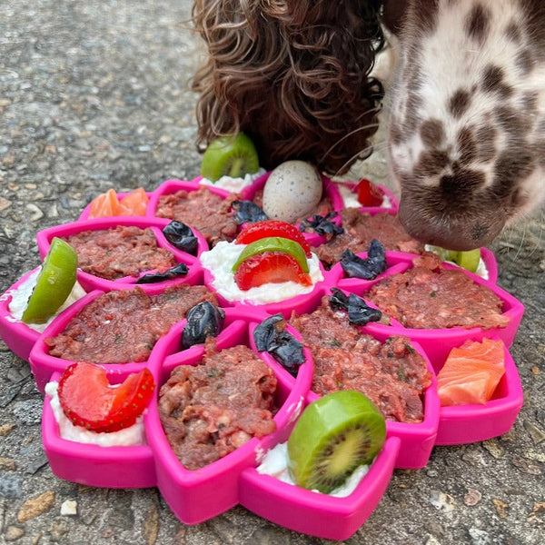 Enrichment tray for feeding dogs