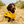 Load image into Gallery viewer, ANXIOUS DOG YELLOW LIGHTWEIGHT RAINCOAT (Medium - Extra Slim)
