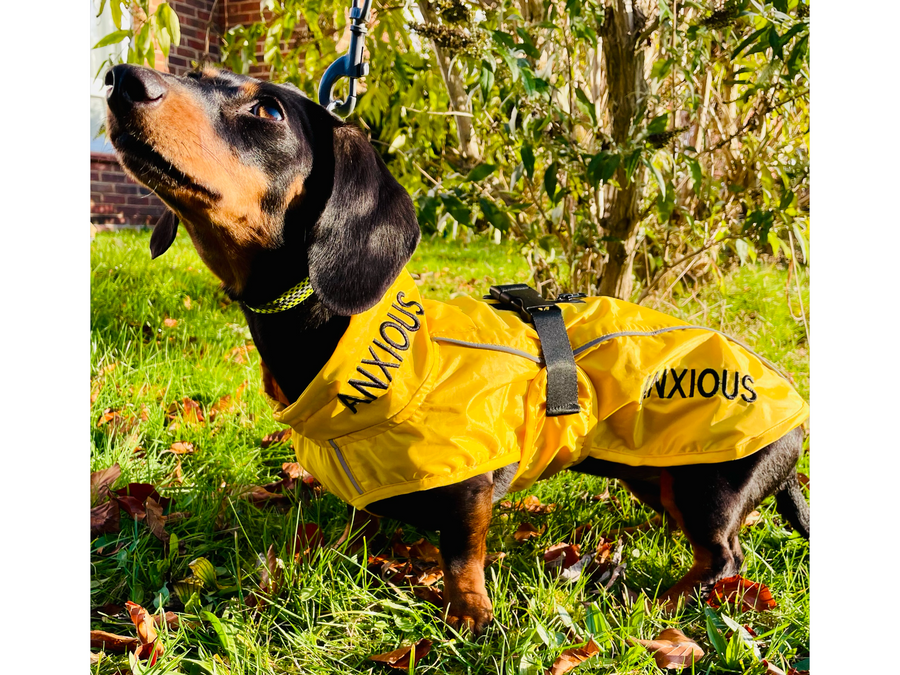 Yellow Dog Rain Coats Lightweight My Anxious Dog