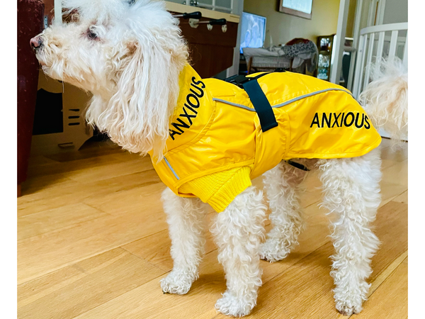 ANXIOUS DOG YELLOW LIGHTWEIGHT RAINCOAT (Small - Extra Slim)
