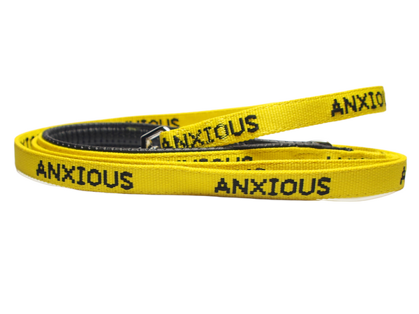 My Anxious Dog Yellow Space Awareness Lead "ANXIOUS" - Small/Medium