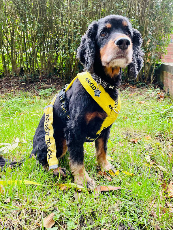 My Anxious Dog Yellow Space Awareness DO NOT TOUCH Warning Lead Slip Cover