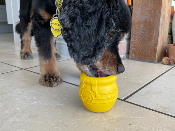 Large Honey Pot Durable Rubber Treat Dispenser & Enrichment Toy – My  Anxious Dog