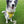 Load image into Gallery viewer, My Anxious Dog Adjustable Yellow Space Awareness Dog Harness &quot;ANXIOUS&quot;  Large
