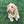 Load image into Gallery viewer, My Anxious Dog Adjustable Yellow Space Awareness Harness &quot;ANXIOUS&quot; - Medium
