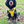 Load image into Gallery viewer, My Anxious Dog Adjustable Yellow Space Awareness Harness &quot;ANXIOUS&quot; - Medium
