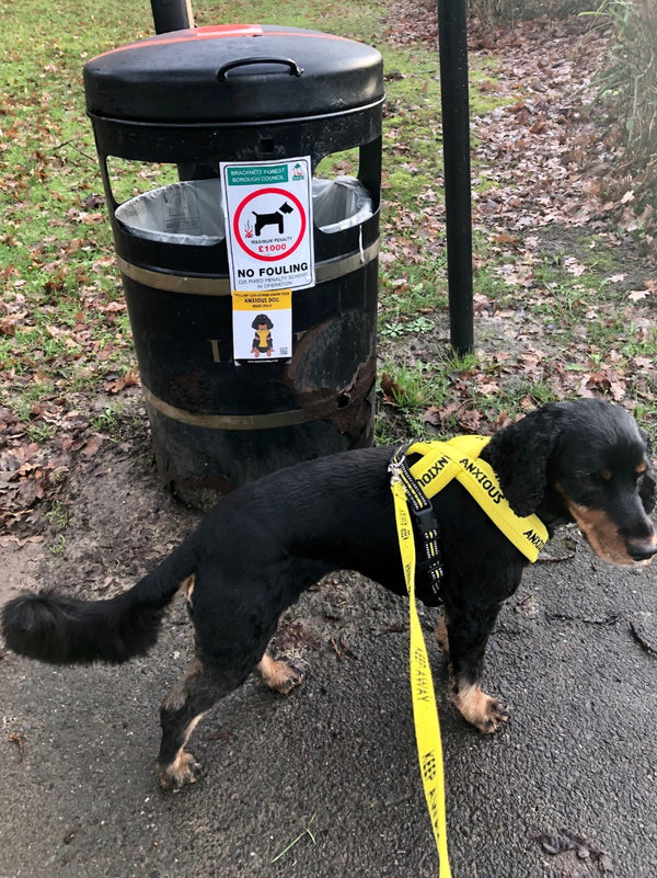 My Anxious Dog Yellow Space Awareness Poo Bin Stickers