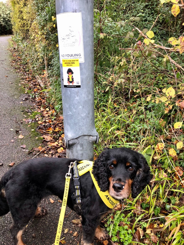 My Anxious Dog Yellow Space Awareness Poo Bin Stickers