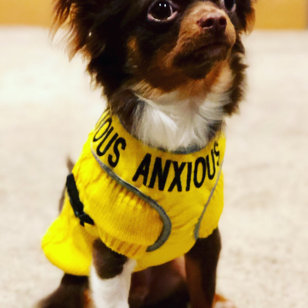 My Anxious Dog Adjustable Yellow Doggie Harness "ANXIOUS" - XS